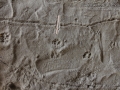 Dog Tracks
