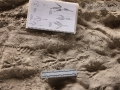 Raven Tracks