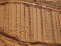 Snake Tracks