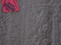 Towhee Tracks