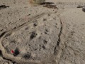 Cow/Horst Tracks