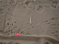 Gray Squirrel Tracks