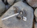 Turkey Scat