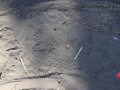 Turkey Tracks