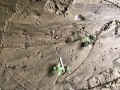 Opossum Tracks