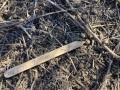 Cottontail-Scat