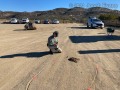 Horse-Scat-2