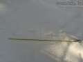 Grouse Tracks