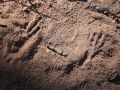Jay Tracks