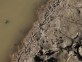 Snipe Tracks