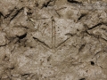 Snipe Tracks