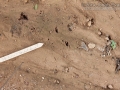 Swallow Tracks