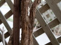 House Cat Scratch Post