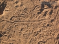 Sidewinder Tracks