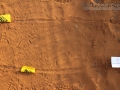 Snake Tracks