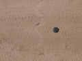 Snake Tracks