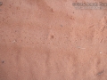 Ant Tracks