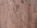 Caterpillar Tracks