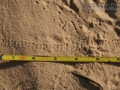 Caterpillar Tracks