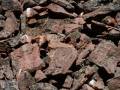 Pika Hay Pile
