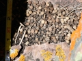 Pika Scat