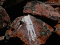 Pika Scat