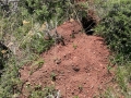 Badger Burrow