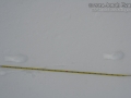 Ermine Tracks