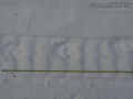 Wolverine Tracks