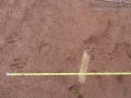 Agouti Tracks
