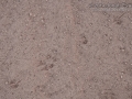 Kangaroo Rat Tracks