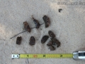 Porcupine Scat