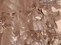 Porcupine Tracks