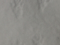 Western Gray Squirrel Tracks