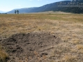 Bison Dust Bath