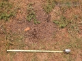 Blackbuck Latrine