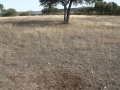 Blackbuck Latrine