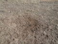 Blackbuck Latrine