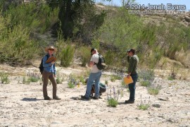 Tracking in West Texas