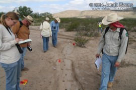 Tracking in West Texas