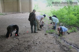 Tracking in Central Texas