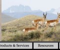 Website Updates