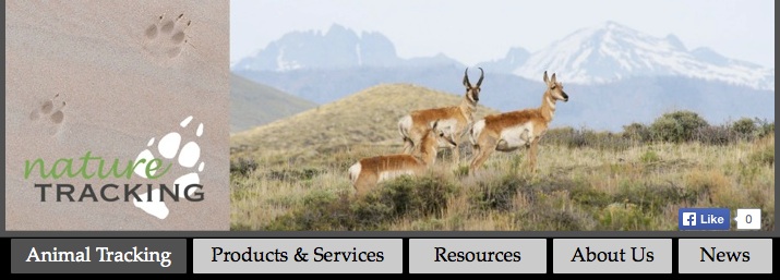 Website Updates | NatureTracking