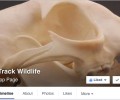 Facebook Page