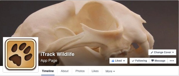 Facebook Page
