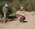 Evaluated in Cuyama, CA