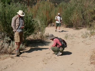 Evaluated in Cuyama, CA