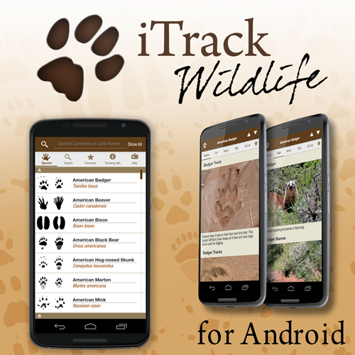 iTrack Android Instagram Add2