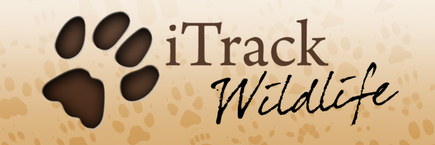 iTrack 1.2 is on the App Store.