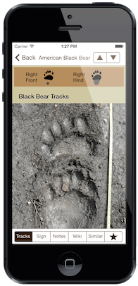 iTrack Wildlife App